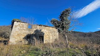 Immobili Istria, vendesi grande tenuta in collina, dintorni Buje - Buie