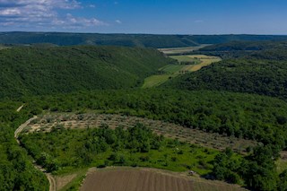 Immobiliare Istria, vendo terreno edificabile, dintorni Buje-Buie