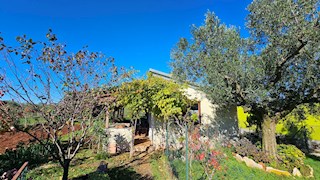 Terreno agricolo in vendita con edificio legalizzato – vicino a Novigrad, Istria