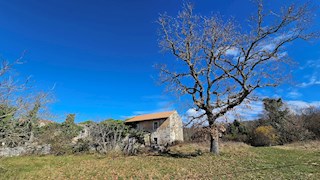 Immobili Istria, vendo casa di pietra, dintorni Buje-Buie