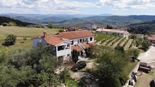 Immobili Istria, vendo casa, dintorni Parenzo, Vižinada