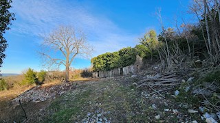 Immobili di lusso Istria, in vendita una grande tenuta con una casa in pietra, Labin