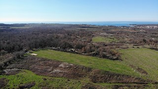 Immobili Istria, vendo terreno agricolo, dintorni Novigrad-Cittanova