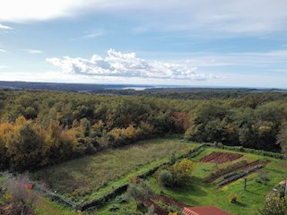 Immobiliare Istria, vendo terreno edificabile, Novigrad, dintorni