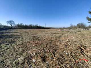 Terreno agricolo nelle vicinanze di Dignano
