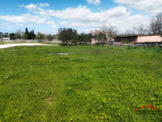Dignano-dintorni, terreno edificabile
