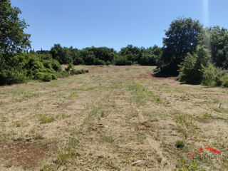 Pinezići, terreno agricolo con acqua