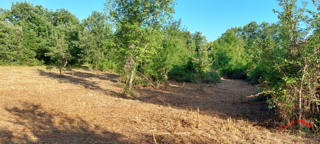 Šegotići, terreno edificabile e agricolo in un unico pezzo