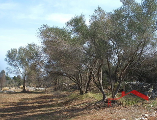 PREMANTURA - MONTE KOPE, TERRENO EDIFICABILE IN ZONA TP