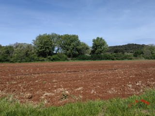 Vinkuran, terreno agricolo