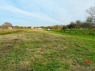 Banjole, landwirtschaftliches Land mit Olivenhain und Wasser