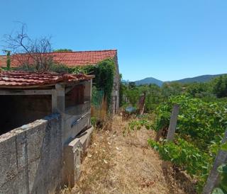 Casa da ristrutturare e terreno edificabile - OCCASIONE!