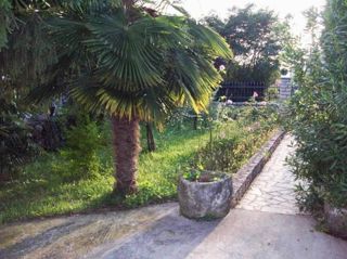 ECCELLENTE INVESTIMENTO