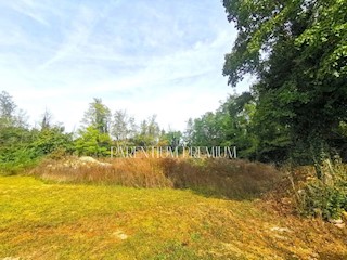 Terreno edificabile e agricolo abbinato