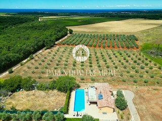 Oasi privata: Casa con vista sul mare e sulla natura della penisola istriana