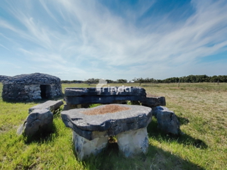 Grande azienda agricola - Vodnjan - 13.841m2