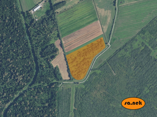 Terreno agricolo in Kupinac