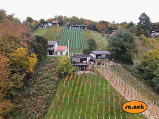Casa vacanze con vigneto nei dintorni di Samobor