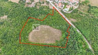 Parenzo, dintorni - Terreno agricolo 20.000 m2 vicino alla strada