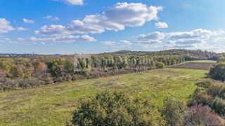 Parenzo – Terreno agricolo 14.800 m²!!!