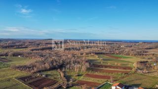 Parenzo, dintorni - terreno edificabile per la costruzione di case bifamiliari