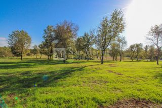 Visignano, dintorni - terreno in un posto tranquillo