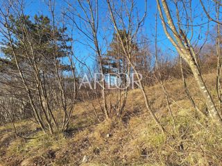 Terreno Cernik, Čavle, 1.017m2