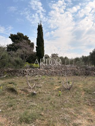 Terreno Barbat na Rabu, Rab, 1.500m2