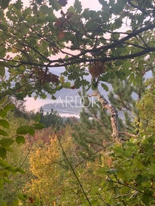 Terreno Butoniga, Pazin - Okolica, 44.000m2