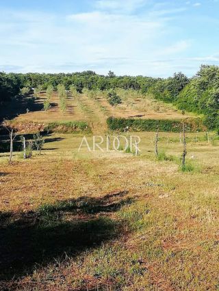 Terreno Rovinjsko Selo, Rovinj, 15.000m2