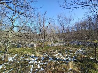 ISTRIA - LUPOGLAV, BUILDING LAND OF 15.009 M2, INDUSTRIAL AREA