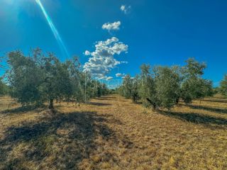 Zona di Umago, ampio terreno per investimento!