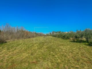 Umago, terreno in posizione ambita con potenziale