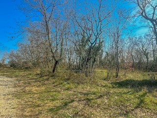 Umago, terreno agricolo lungo la strada