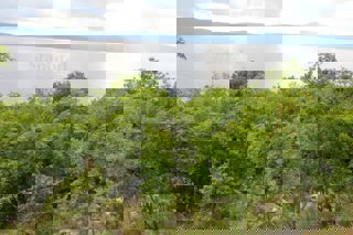 Terreno agricolo forestale a 30 m dal mare, VENDITA!