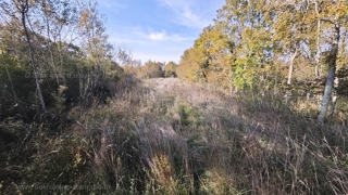 Zona Malinska, terreno agricolo ai margini della zona edificabile!