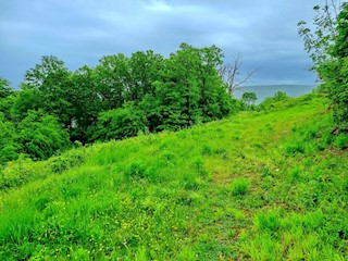 Uvala Soline, terreno edificabile in vendita in una posizione tranquilla!