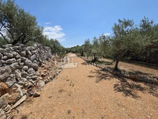 Terreno agriculturale Krk, 2.500m2