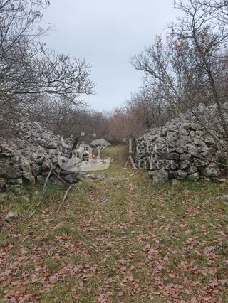 Terreno agriculturale Vrh, Krk, 38.384m2