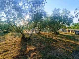 Terreno agriculturale Malinska, Malinska-Dubašnica, 3.000m2