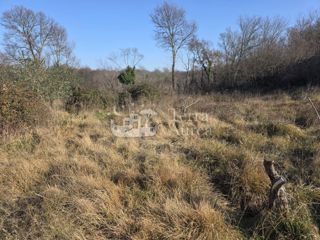 Terreno agriculturale Krk, 14.800m2