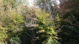 Terreno agriculturale Brzac, Krk