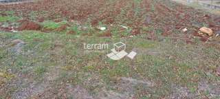 Istria, Barban, Hrboki, terreno edificabile 1505m2 #in vendita