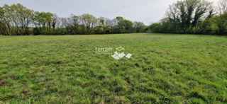 Istria, Barbana, Hreljići, Terreno edificabile 3791m2 #vendita
