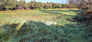Istra, Vodnjan, Fondole, terreno agricolo 1161m2, #vendita