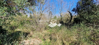 Istria, Medolino, terreno edificabile 2896m2, ottima posizione #vendita