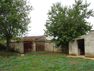 Istria, dintorni di Barban, proprietà con permesso di costruzione, 11153m2