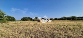 Istria, Canfanaro, terreno edificabile 3292m2, vista panoramica sul mare #vendita