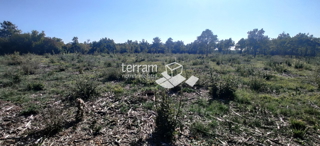 Istria, Valle, terreno agricolo 22821m2, POSIZIONE TOP, vendita