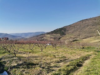 Z-622, Terreno edificabile 3306m2 con vista su Montona, in vendita